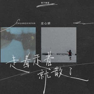 Album 走着走着就散了(架子鼓版) from Ada (庄心妍)