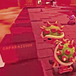 Album Caparazonn from 