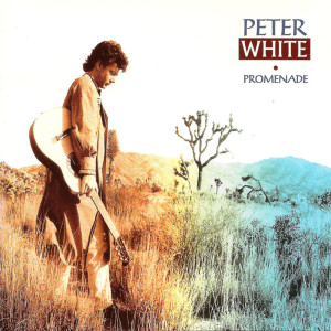 收听PeterWhite的What's Going On歌词歌曲