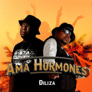 Diliza的專輯Ama Hormones