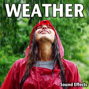 ดาวน์โหลดและฟังเพลง Rain Falling on Cement พร้อมเนื้อเพลงจาก Sound Ideas