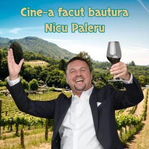 Listen to Cine-a facut bautura song with lyrics from Nicu Paleru
