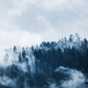 Listen to Gentle Sleep Music song with lyrics from Deep Sleep