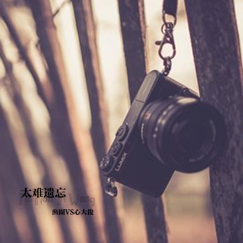 太难遗忘 (伴奏)