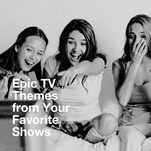 ดาวน์โหลดและฟังเพลง Theme from "The Six Million Dollar Man" พร้อมเนื้อเพลงจาก TV Sounds Unlimited