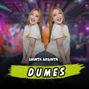 Dengarkan Dumes lagu dari Shinta Arsinta dengan lirik