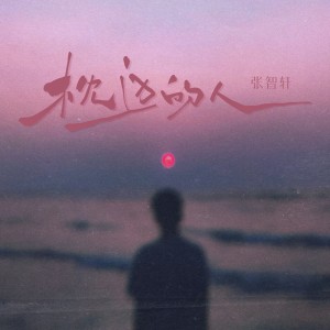 Listen to 枕边的人 (DJ版) song with lyrics from 张智轩