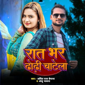 Album Rat Bhar Dhodhi Chatela from Amit Raj Begana