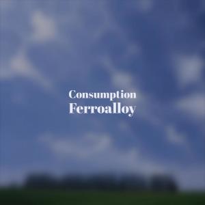 Various的专辑Consumption Ferroalloy