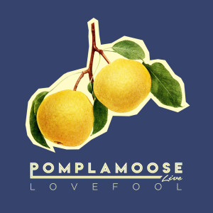 收聽Pomplamoose的Lovefool歌詞歌曲