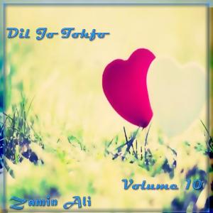 Listen to Dil Na Diyaan Haa song with lyrics from Zamin Ali