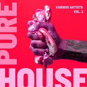 Pure House, Vol. 2 dari Various Artists