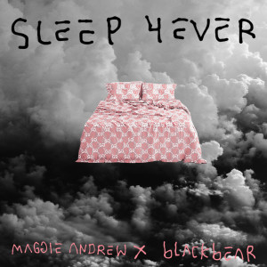 Blackbear的专辑Sleep 4ever (Explicit)