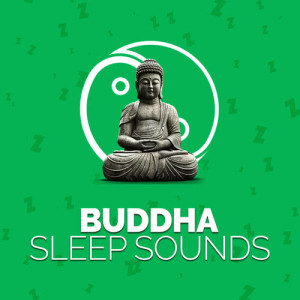 收聽Buddha Sounds的Imagination歌詞歌曲