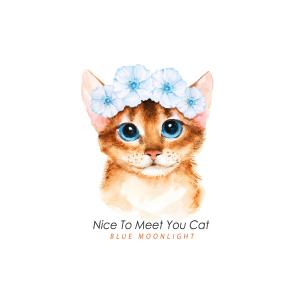 Album Nice To Meet You Cat from Blue Moonlight
