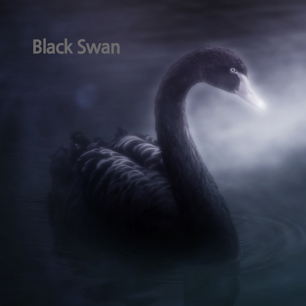 Black Swan