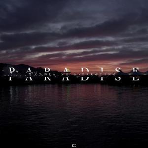 Album Paradise from Captain E
