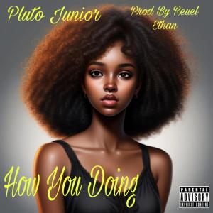Pluto Junior的專輯How You Doing (feat. Reuel Ethan) [Explicit]