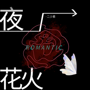 Album 夜花火 from 二少君