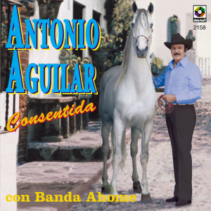 ดาวน์โหลดและฟังเพลง Desesperadamente พร้อมเนื้อเพลงจาก Antonio Aguilar
