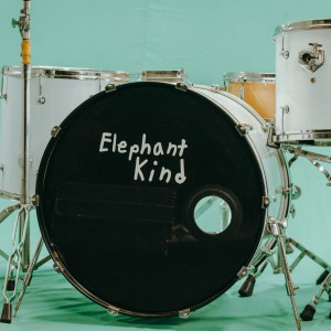 Dengarkan Pleaser lagu dari Elephant Kind dengan lirik