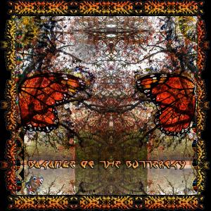 Various的专辑Balance of The Butterfly