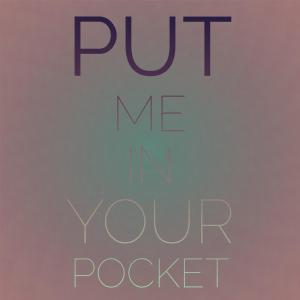 Silvia Natiello-Spiller的專輯Put Me In Your Pocket