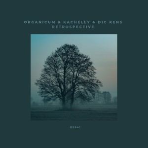 Organicum的專輯Retrospective