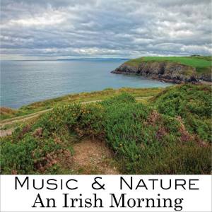 收聽The Music的An Irish Morning歌詞歌曲