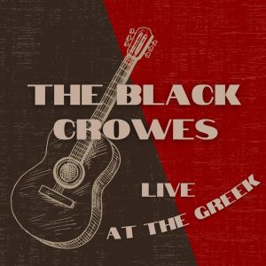 Dengarkan lagu Twice as Hard (Live) nyanyian The Black Crows dengan lirik
