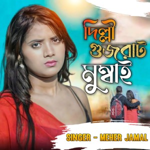Album Delhi Gujrat Mumbai from 