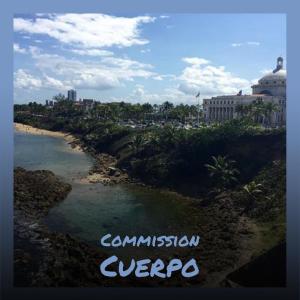 Listen to Commission Cuerpo song with lyrics from Seni Joby