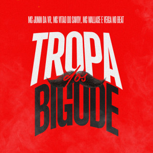 Listen to Tropa Dos Bigode song with lyrics from Mc Junin da Vr