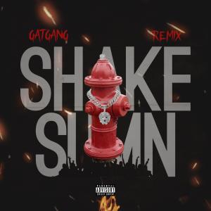 ดาวน์โหลดและฟังเพลง Shake Sumn (Explicit) พร้อมเนื้อเพลงจาก GATGANG