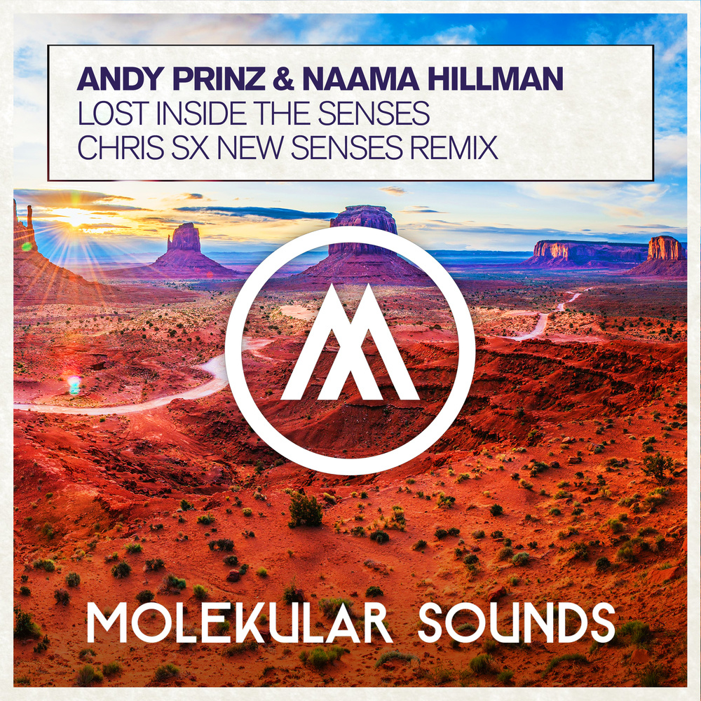 Lost Inside The Senses (Chris SX New Senses Dub)