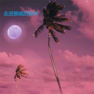 Listen to 走进挪威的森林 (其他) song with lyrics from Ice tear