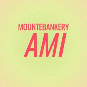 Various Artists的專輯Mountebankery Ami