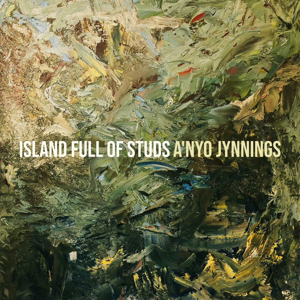 Island Full of Studs