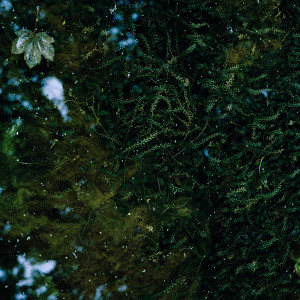 收聽Jake Downs的Fracture歌詞歌曲