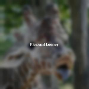 ดาวน์โหลดและฟังเพลง Ceaselessly Adapting พร้อมเนื้อเพลงจาก Maey Okko