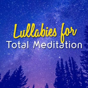 收聽Lullabies for Deep Meditation的Where Do You Go?歌詞歌曲