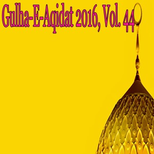 Dengarkan Tum Ho Jan-e-Ali lagu dari Syed Ghulam Ali Shah Gilani dengan lirik