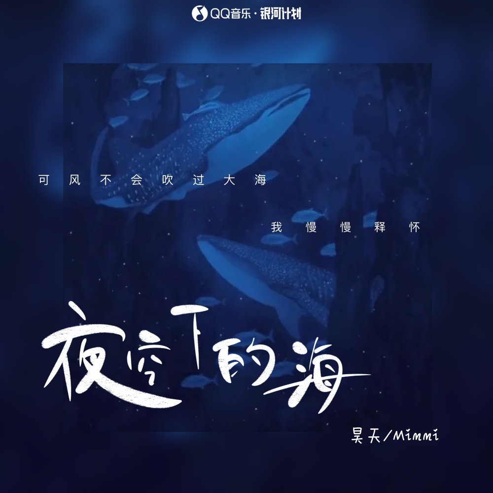 夜空下的海