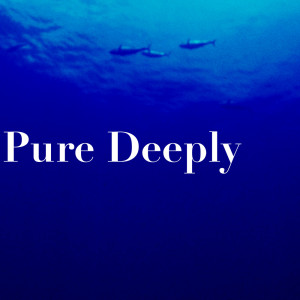Album Pure Deeply from 日韩群星