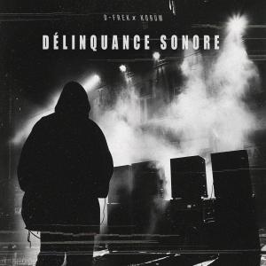 D-Frek的專輯DÉLINQUANCE SONORE (Explicit)