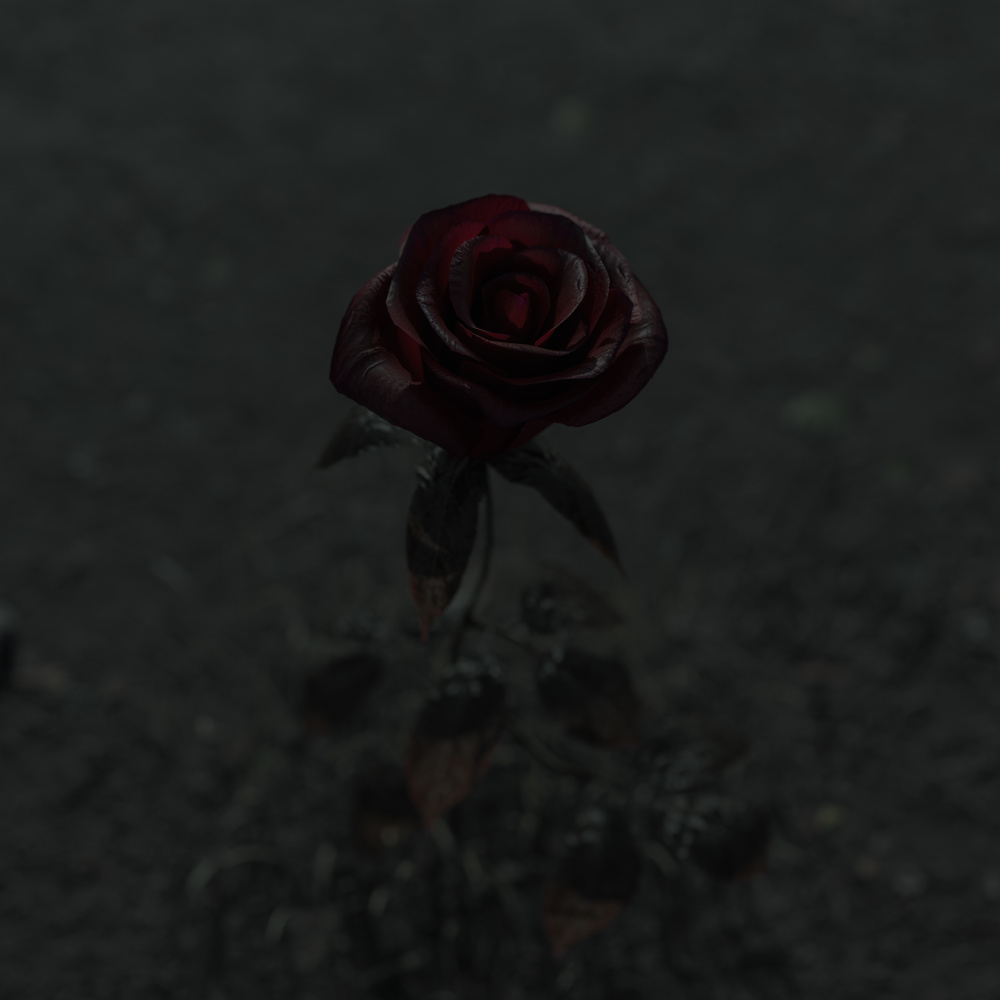 나 혼자