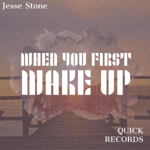 收聽Jesse Stone的When You Wake Up歌詞歌曲