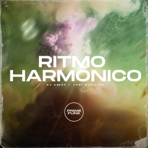 Album Ritmo Harmônico (Explicit) from DJ AKA DF