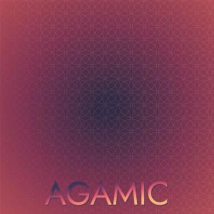Listen to Agamic song with lyrics from Omed Enez