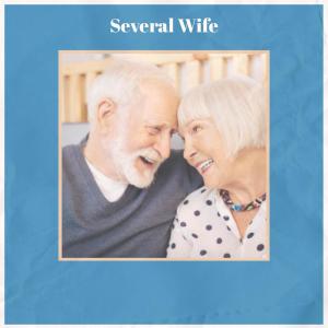 Several Wife dari Various